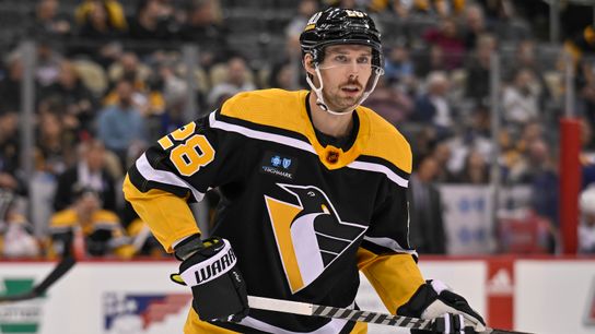 Pettersson making most of expanded role on penalty-kill taken at PPG Paints Arena (Penguins)